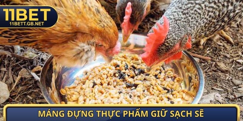 Thức Ăn Gà Đá - Danh Mục Dinh Dưỡng Tăng Cơ, Duy Trì Thể Lực 4 Máng đựng thực phẩm giữ sạch sẽ