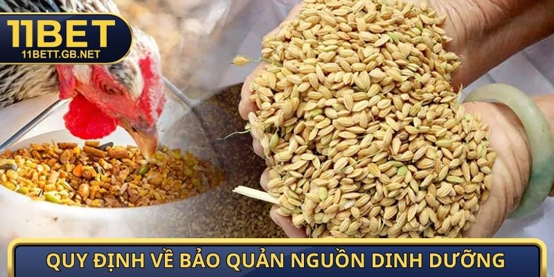 Thức Ăn Gà Đá - Danh Mục Dinh Dưỡng Tăng Cơ, Duy Trì Thể Lực 3 Quy định về bảo quản nguồn dinh dưỡng