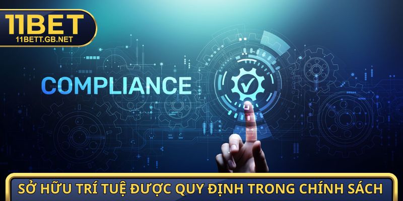 Điều Khoản Điều Kiện - Quy Định Chi Tiết Nhất Năm 2026 2 Sở hữu trí tuệ được quy định trong chính sách