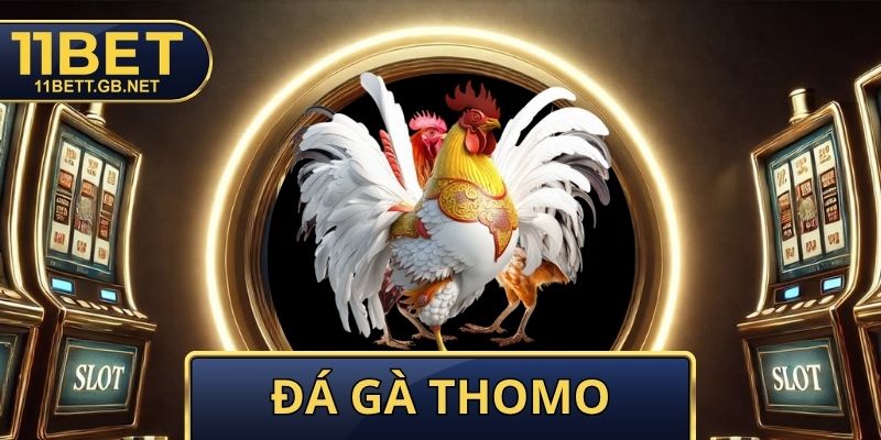 Đá Gà Thomo - Giải Mã Luật Chơi Và Kinh Nghiệm Từ Cao Thủ 1 Đá Gà Thomo